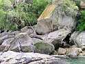 Abel Tasman National Park (08)