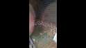 PHOTO 20151011 103053 (2)